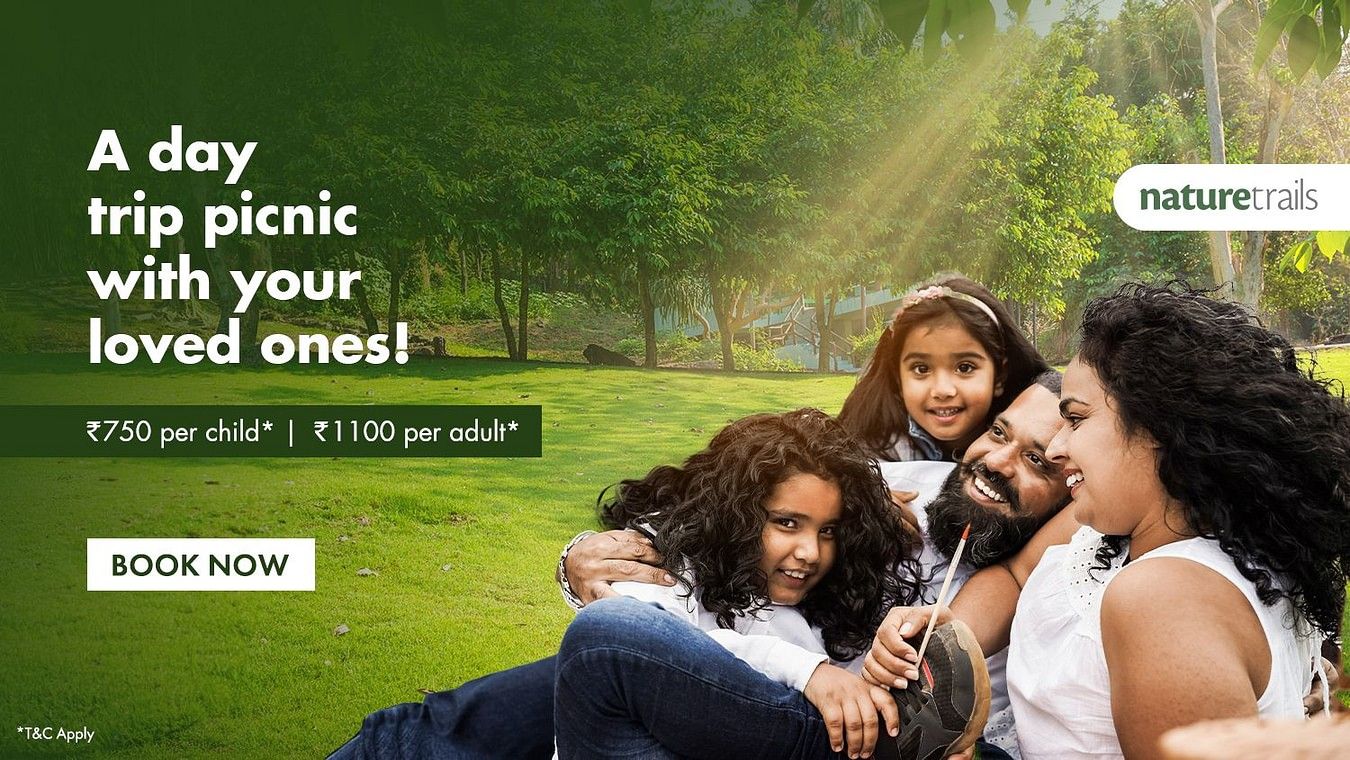 NT-Picnic-banner