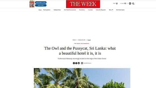 The Week