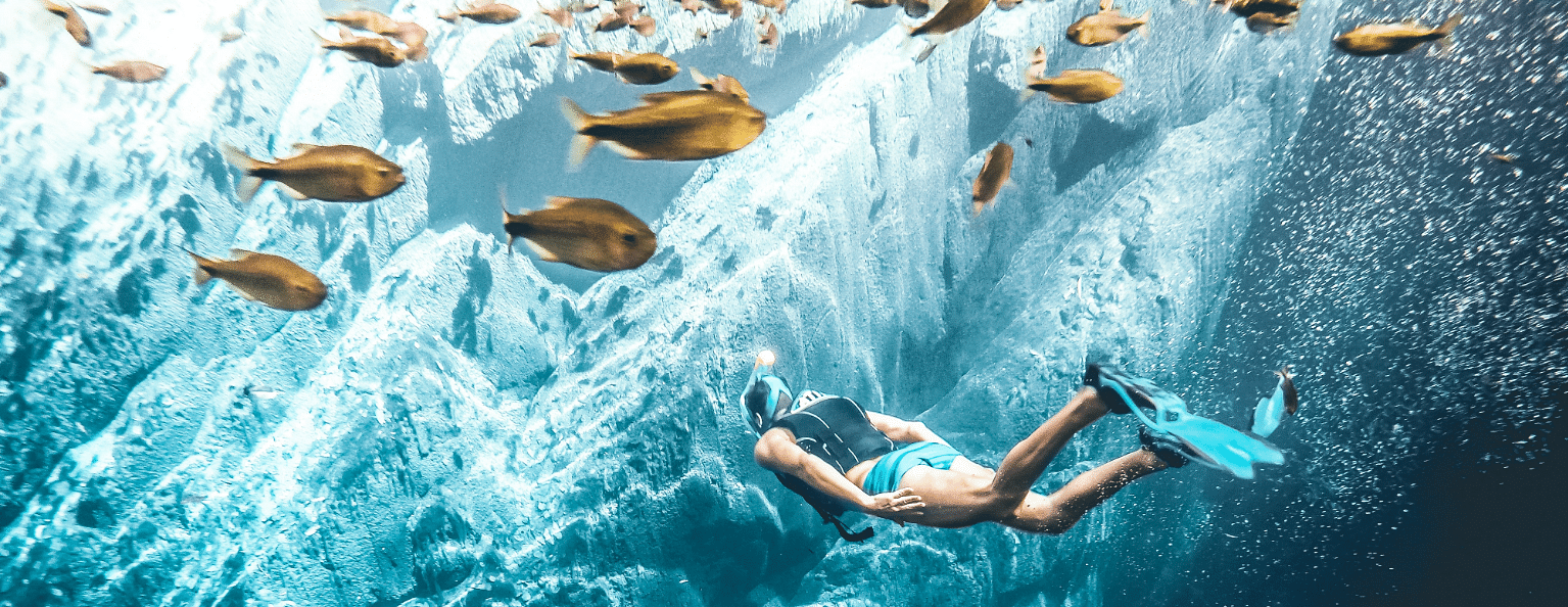 a person swimming underwater next to a school of fish