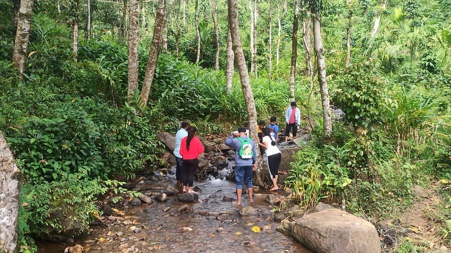 Stream Walks