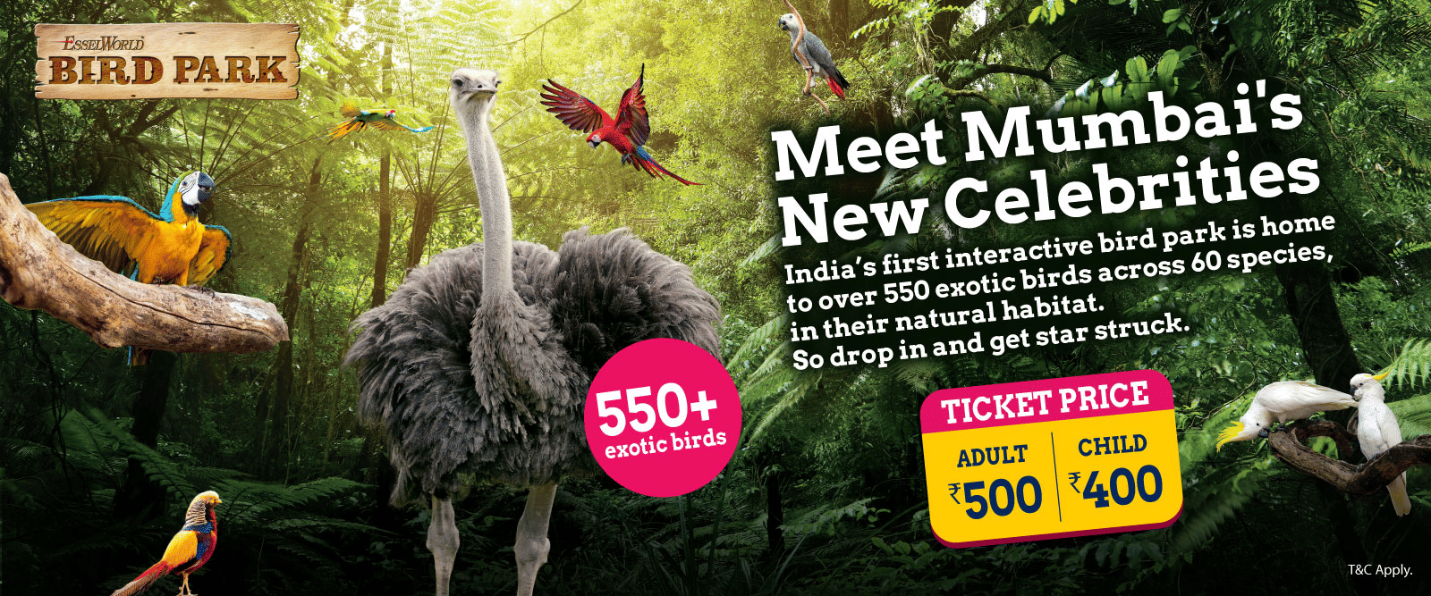 Attractions-section-banners-BP