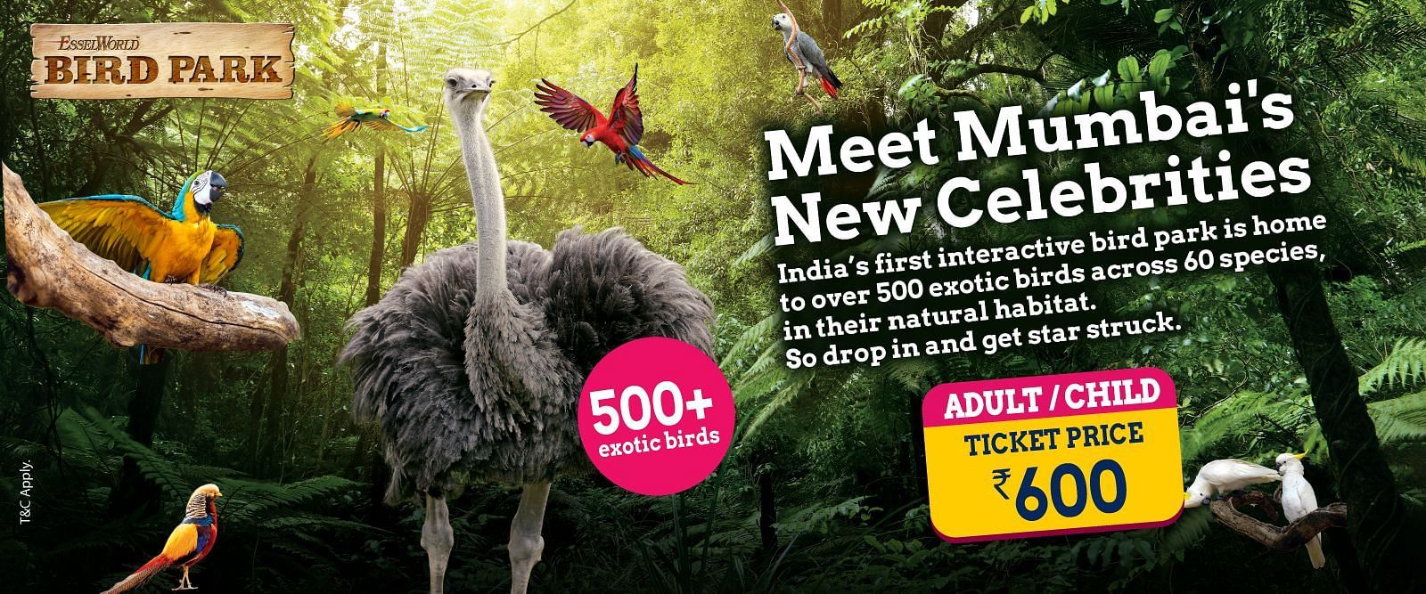A promotional banner highlighting over 500+ exotic animals at the Wild Park, with a special entry ticket price of ?600. The image features an ostrich and other wildlife.