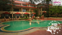 Christmas celebration image