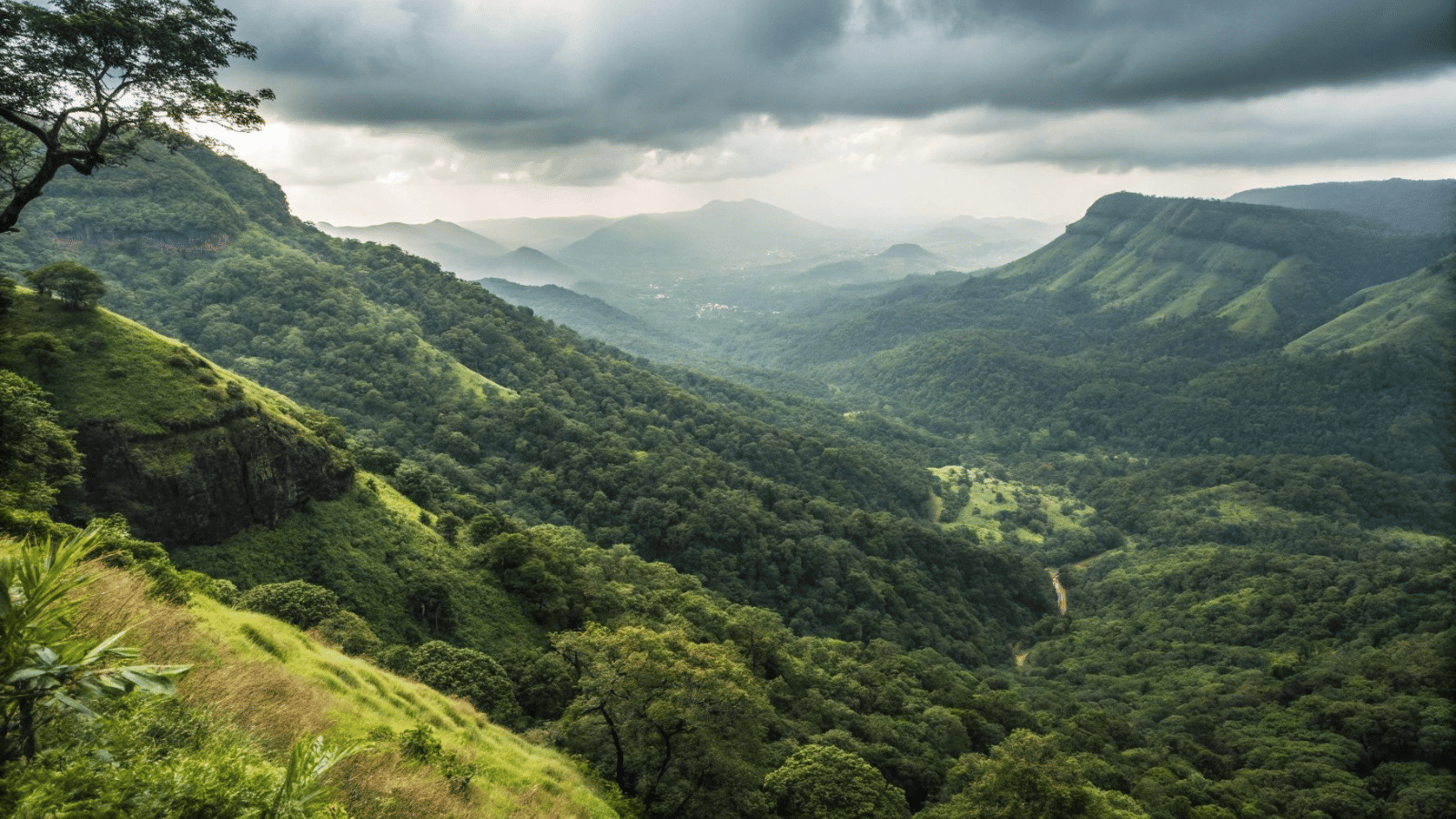 Forested valleys in South Goa
