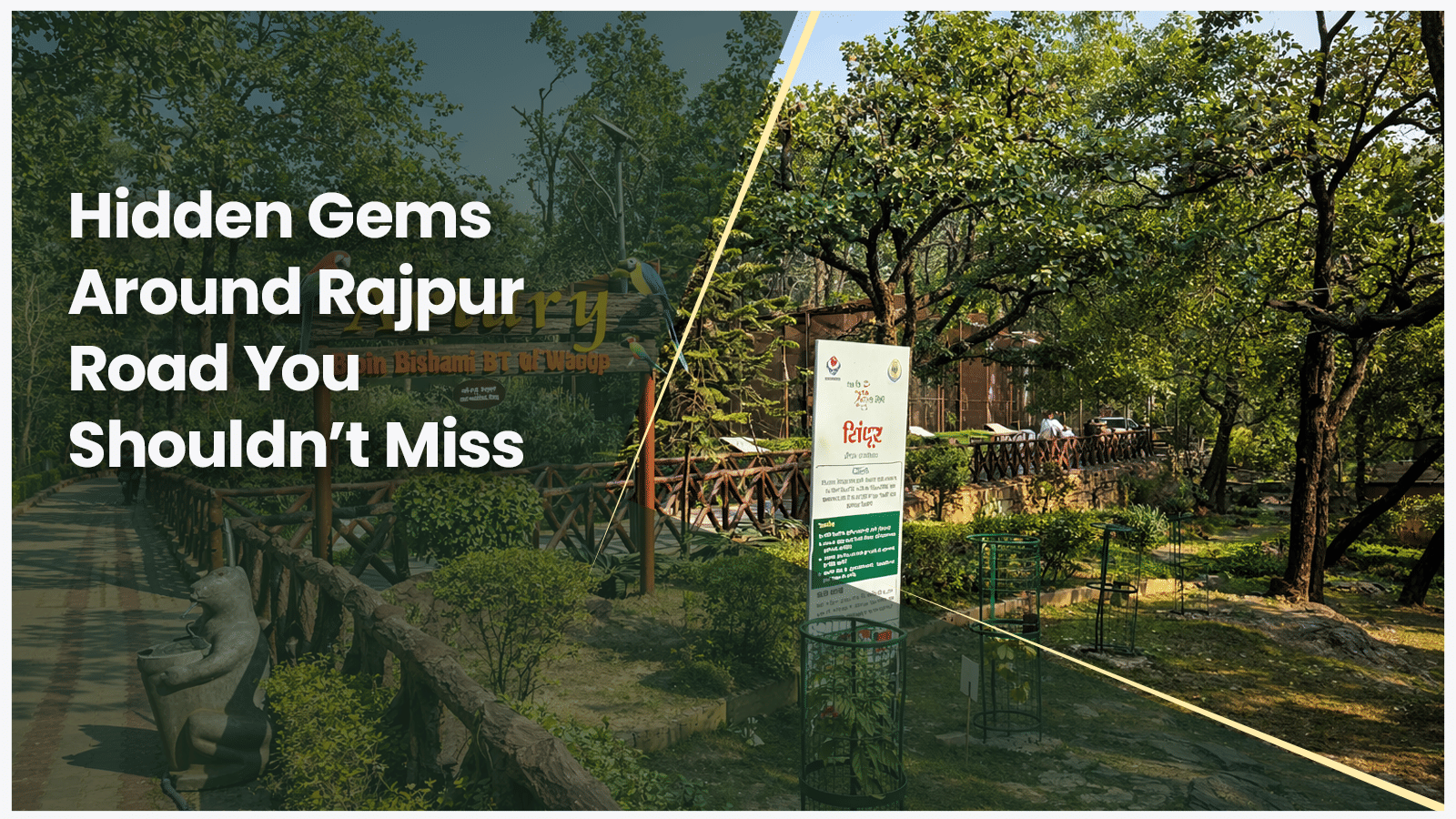 Hidden Gems Around Rajpur Road | Stay Near Rajpur Road, Dehradun Hotel