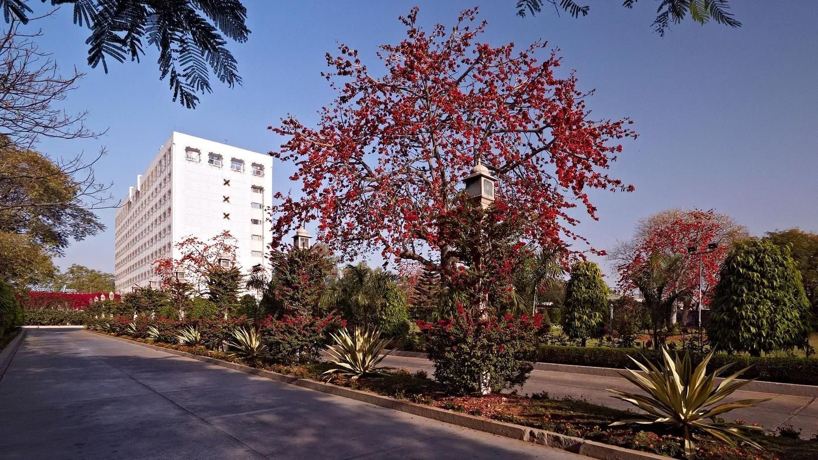 Hotel exterior surrounded by blooming trees and landscaped gardens