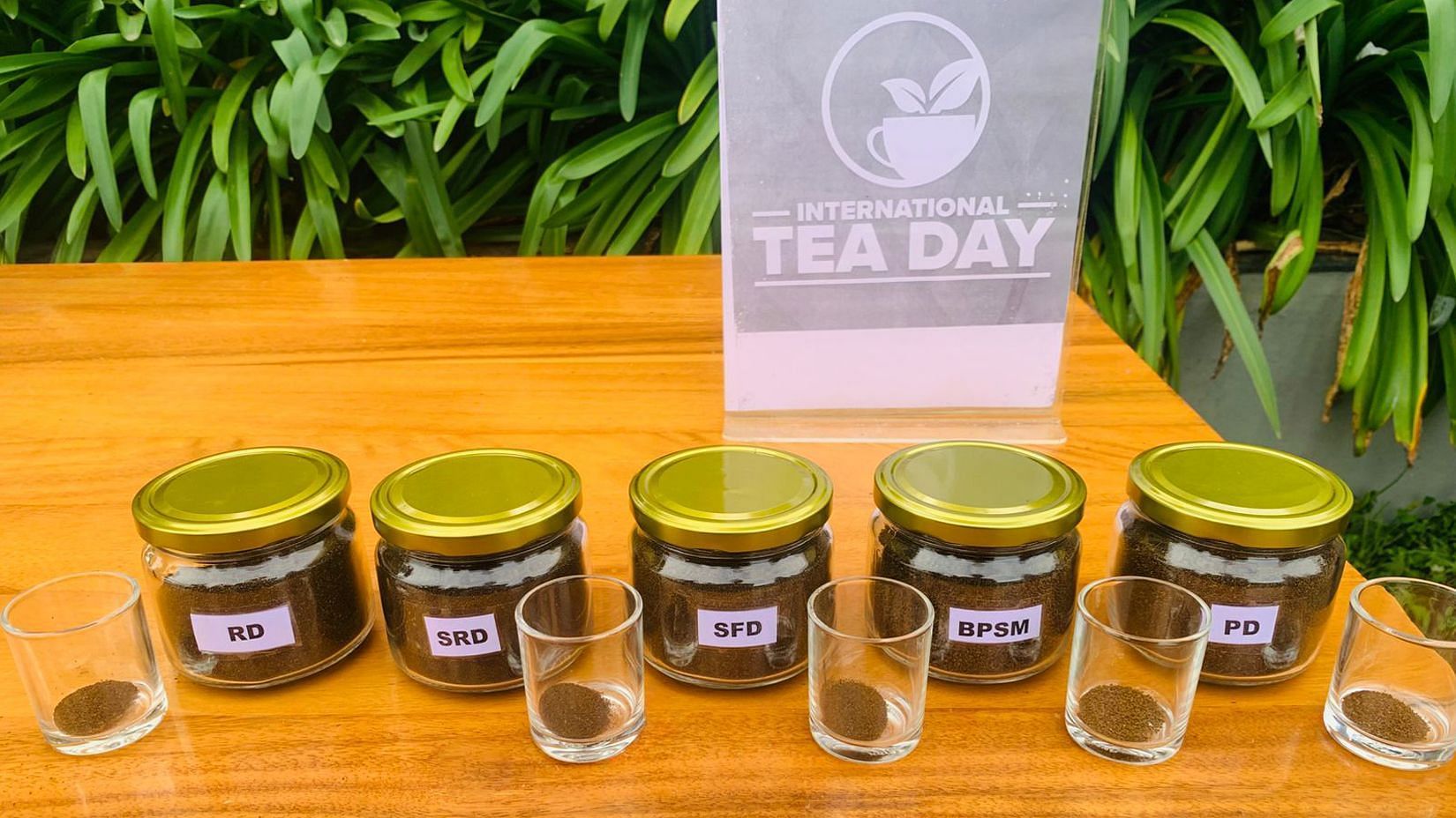 6 tea experiences or tastings