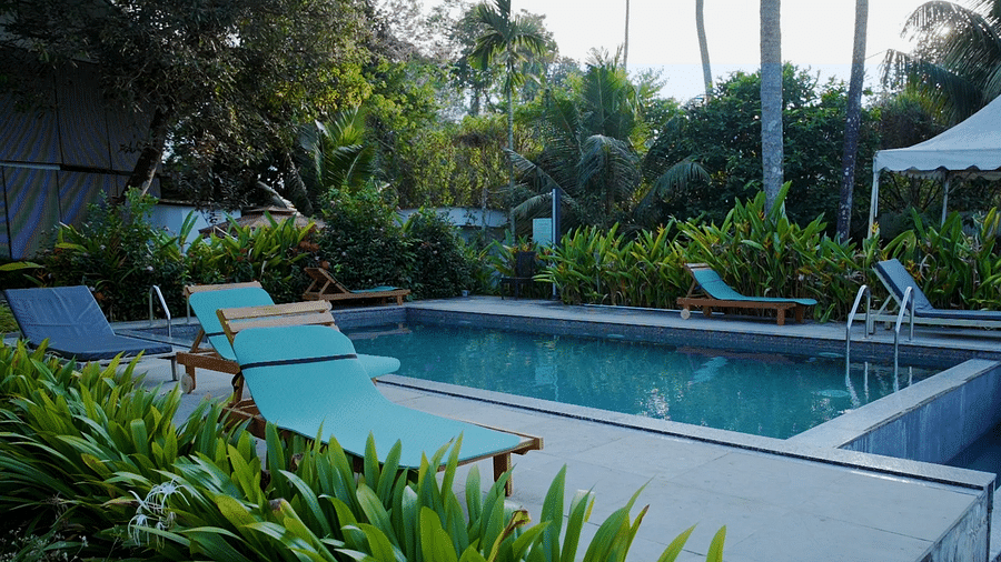 A swimming pool surrounded by lounge chairs and tropical vegetation.