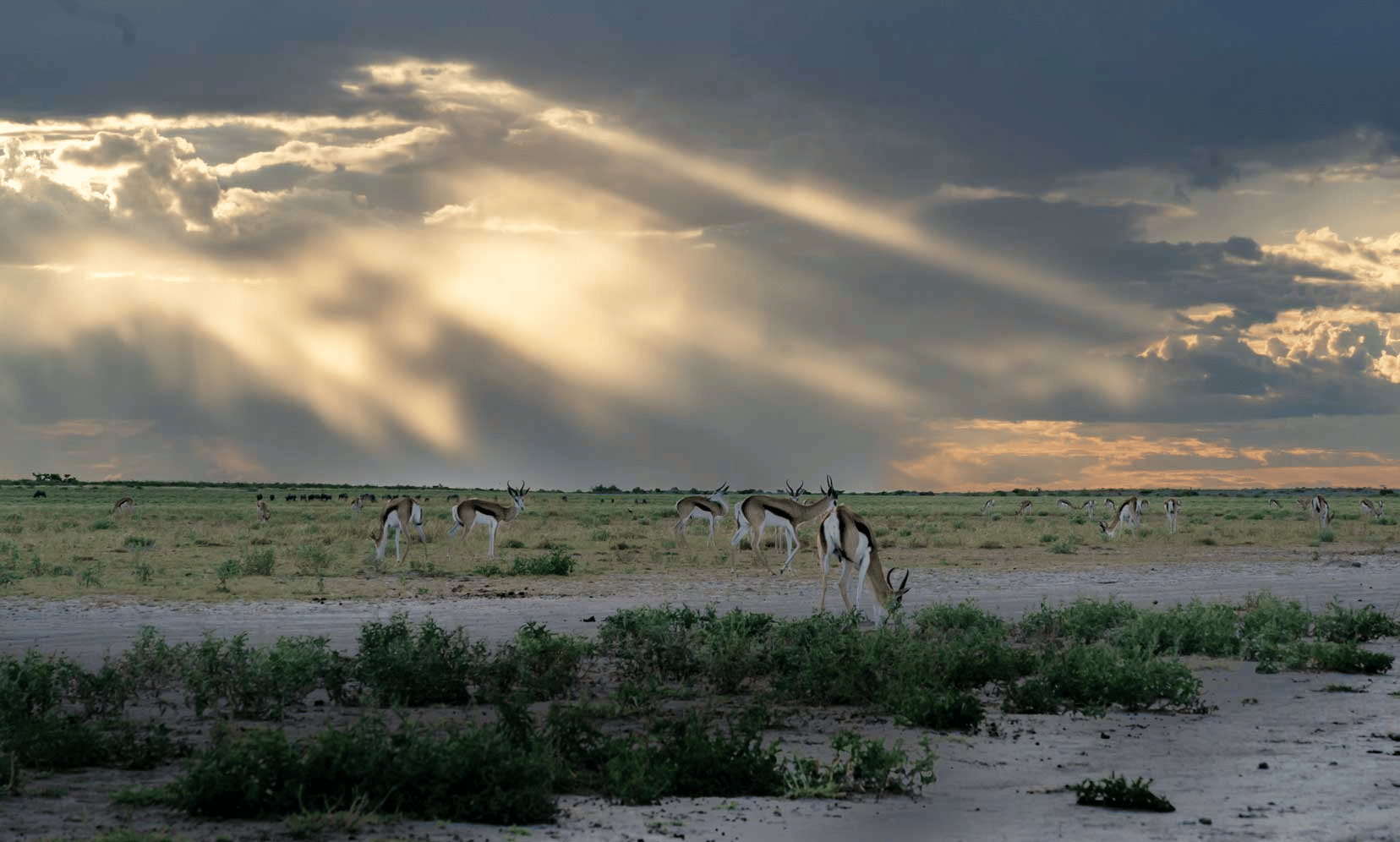 SUNRISE AT THE PAN