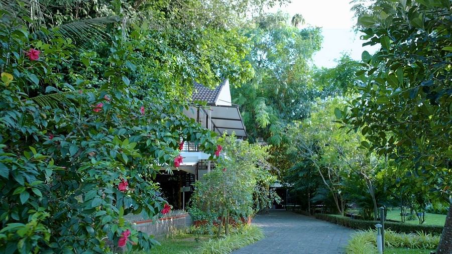 A paved pathway leads toward a building nestled among lush green trees and flowering bushes.