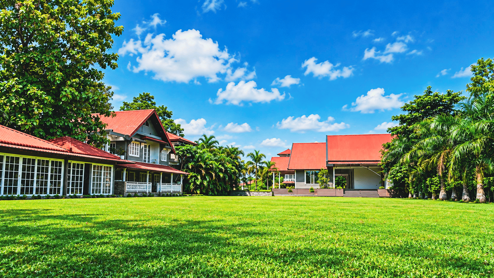 Lawn1
