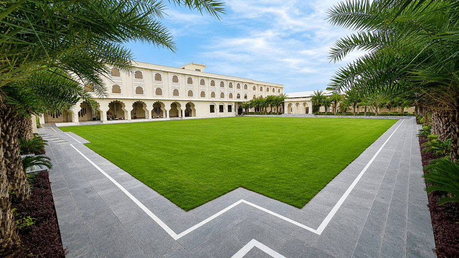 Lawn Area (3)