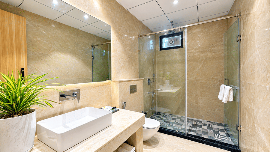 Bathroom at Daksh The Royal Braj, Vrindavan, with a white basin, a plant, a mirror, and a glass shower enclosure.