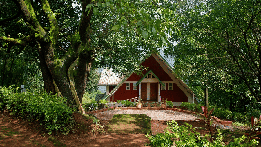 A frame chalet at Wind Chalet set among mature trees, with a paved pathway leading towards the entrance and landscaped grounds.