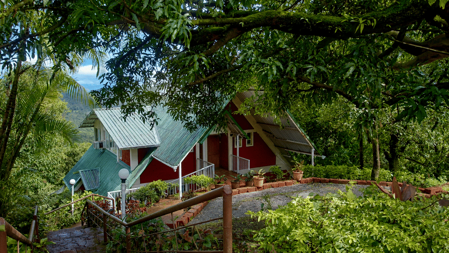 A frame chalet with a steeply pitched roof, large windows, and a landscaped garden surrounded by mature trees at Wind Chalet.