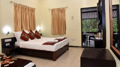 Grand North Forest Facing Room for Nature Lovers