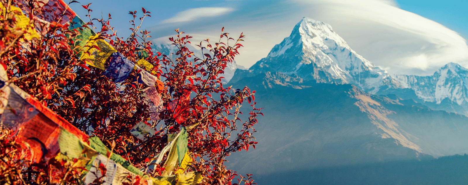 An image of a colourful tree and a mountain in the background | Kavya Resort and Spa, Nagarkot