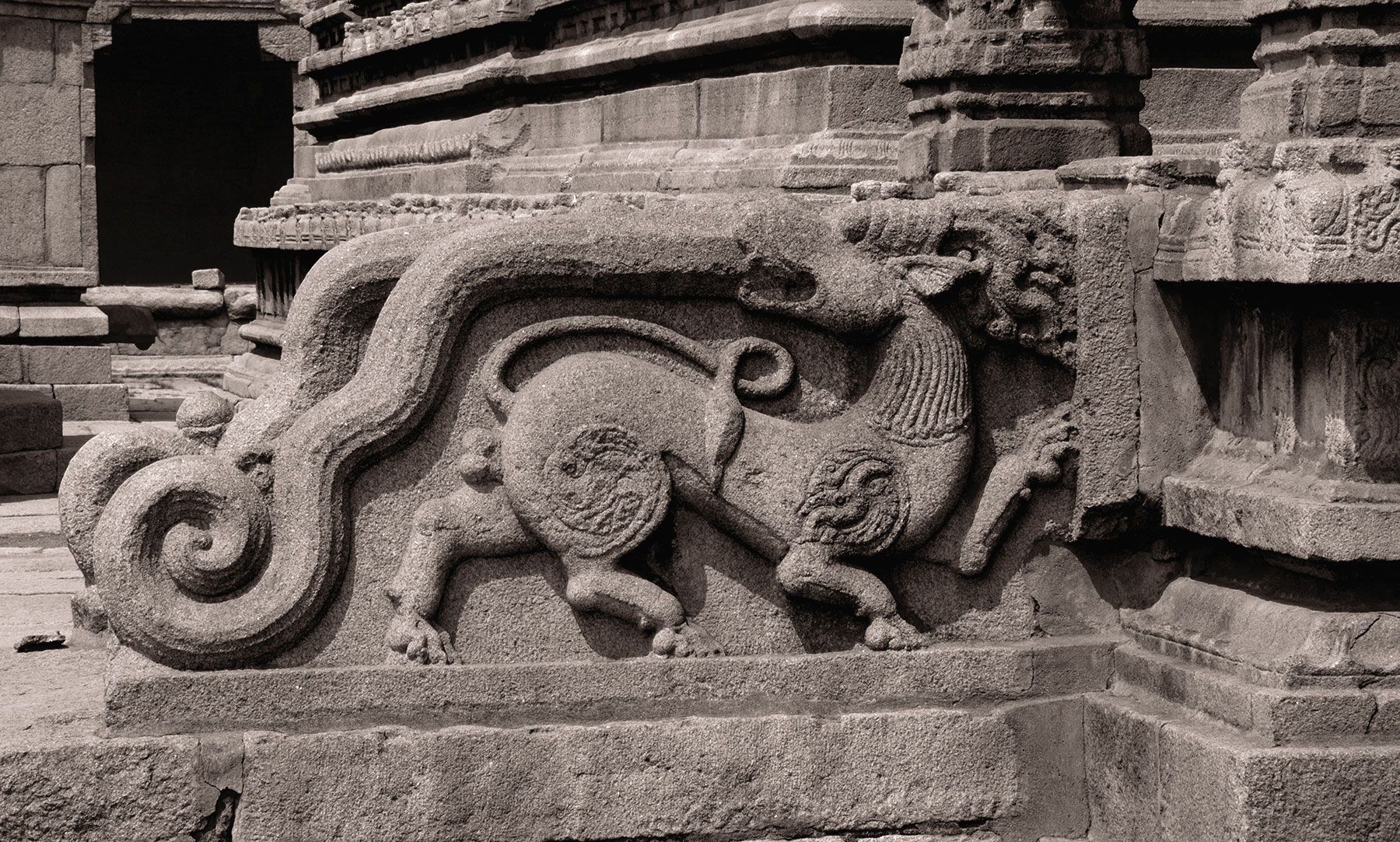 Mythical Yali creature stone carving at a Hampi temple.
