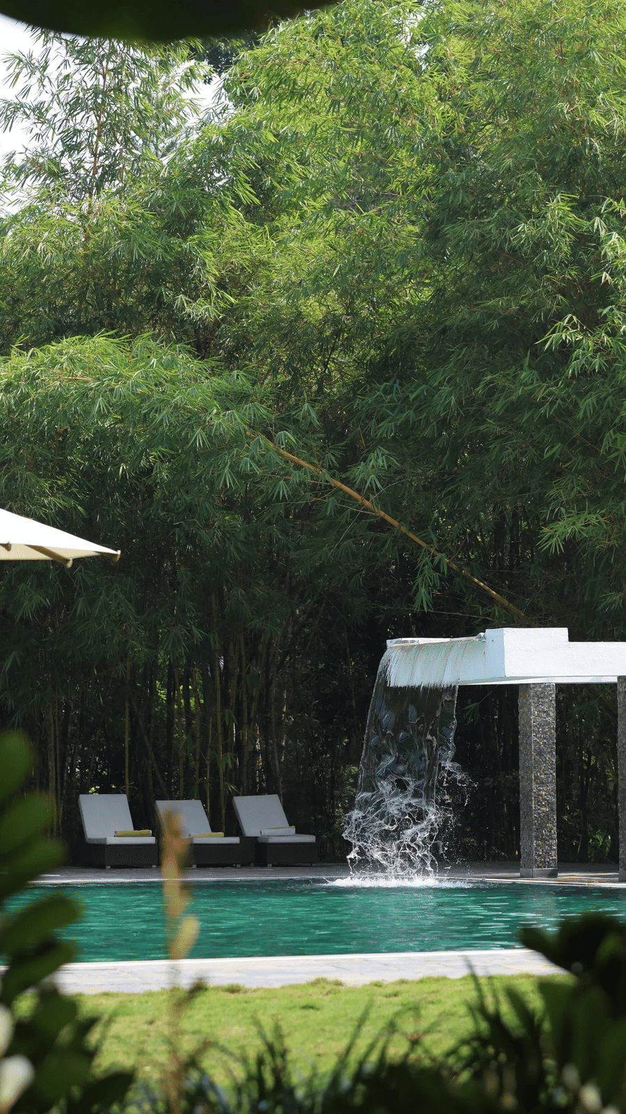 Outdoor pool with a waterfall, lounge chairs, and umbrellas by a bamboo grove at Amanvana Spa Resort - A Luxury Resort in Coorg.