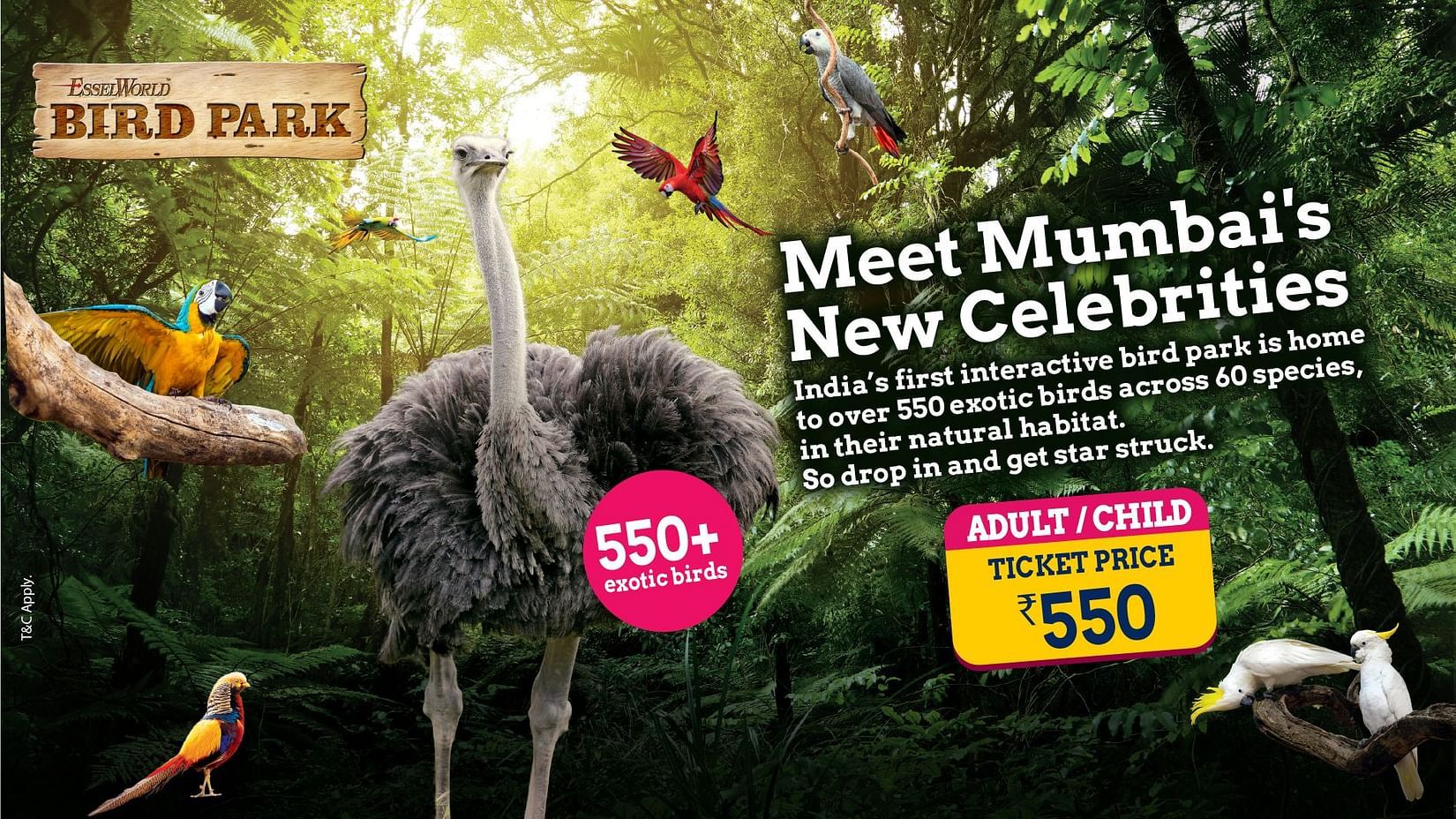 Promotional banner for EsselWorld Bird Park featuring over 550 exotic birds across 60 species in a lush natural habitat. Entry price ?550 for adults and children.