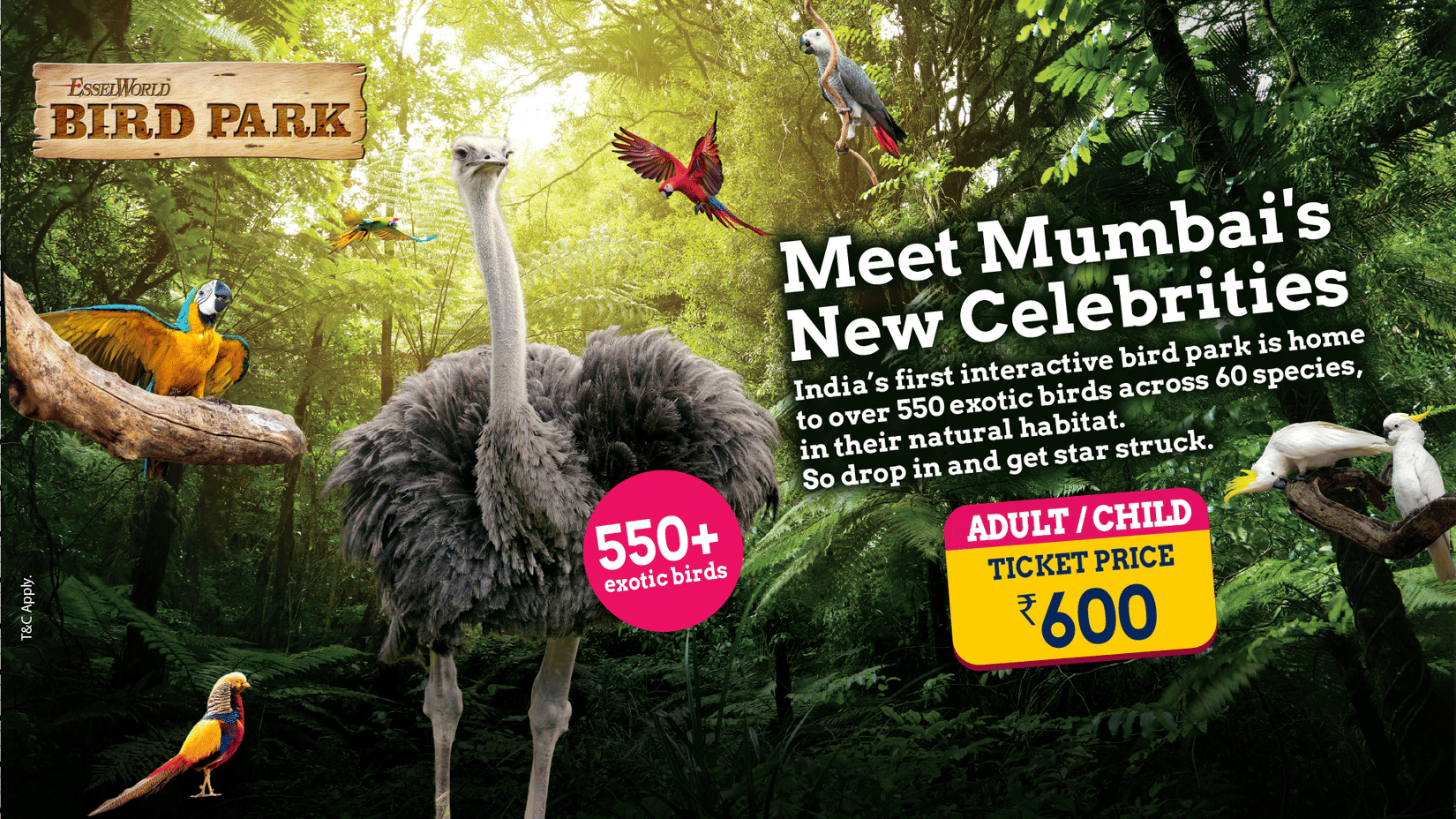 Promotional poster for EsselWorld Bird Park in Mumbai featuring various colourful birds and an ostrich in a lush green setting. The text highlights -Meet Mumbais New Celebrities, and mentions over 550 birds from 50 species. Ticket prices are listed as ?600