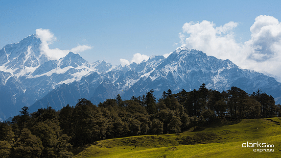 A landscape view of mountains with their heads covered with clouds and the lush greenery spread across