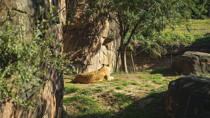 wildlife sanctuary