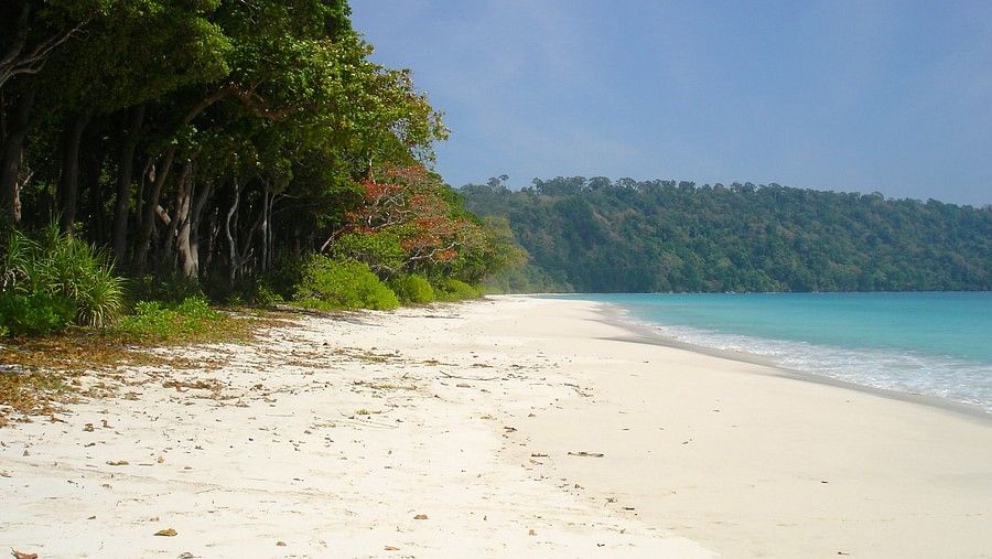 Barefoot at Havelock Andaman 19 In Around Radhanagar Beach Havelock Island