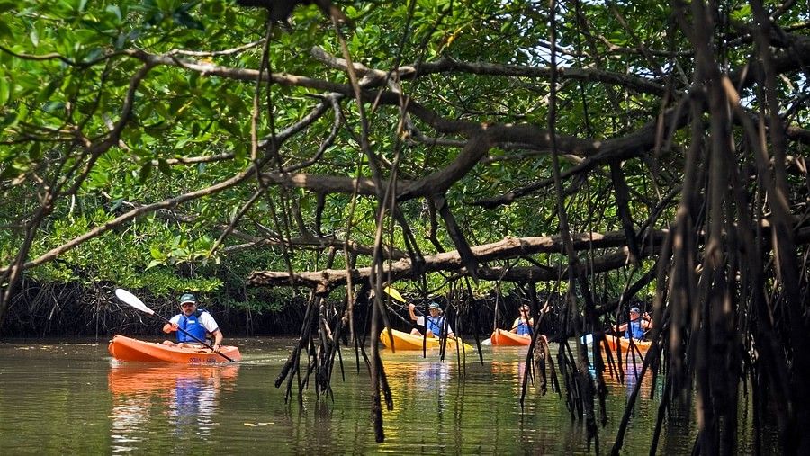 26 Experiences Kayaking