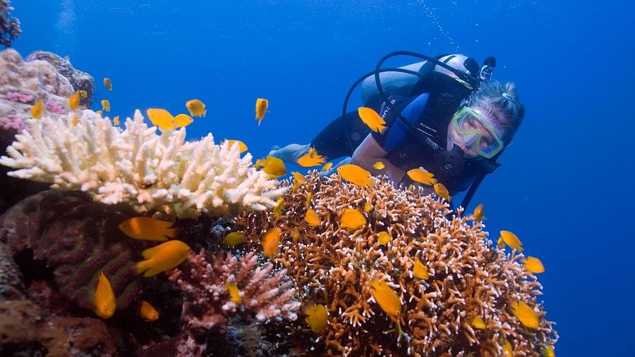 25 Experiences Scuba Diving