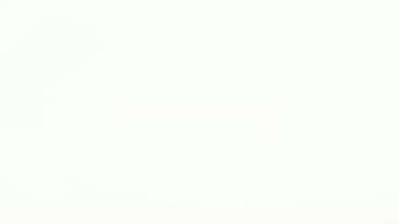 blank