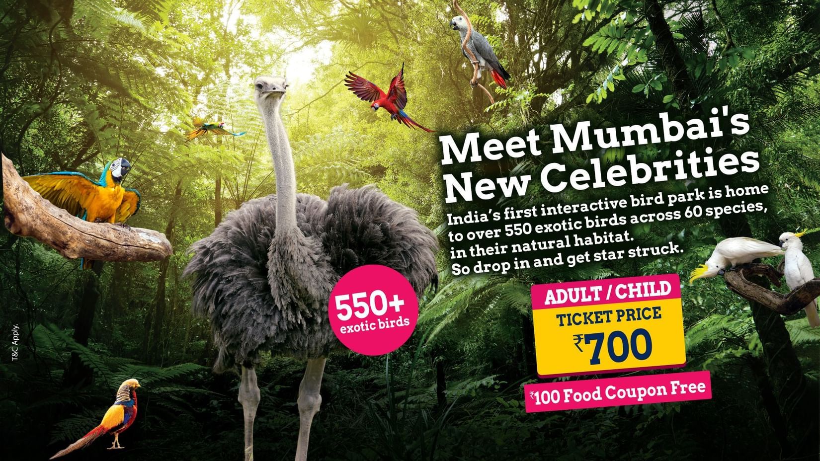 Meet Mumbai's new celebrities which are 550 plus exotic birds, across 60 species in their natural habitat. Ticket price is 700 rupees for both adult and child. 100 rupees Food Coupon Free only at Bird Park Esselword.
