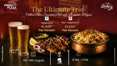 Food promotional poster for Pride Plaza Hotel, New Delhi, featuring beer glasses, grilled skewers, biryani in a metal bowl, and offer details.