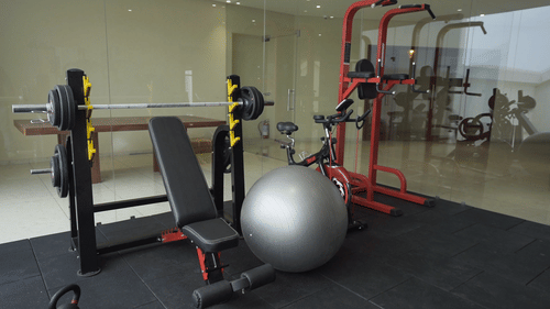 A well-equipped gym at Pride Resort, Rajkot featuring free weights, a bench, and a large exercise ball, featuring red and black workout equipment