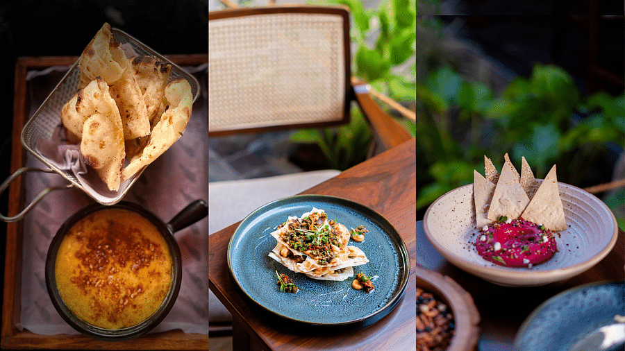 Collage of three mouth-watering dishes plated in a sophisticated manner, each having a different background