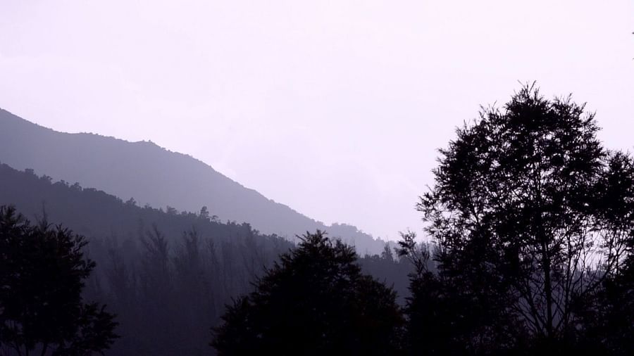 Distant view of purple-hued mountain layers at dusk with silhouetted trees.