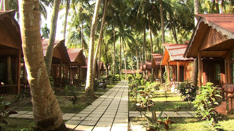 wooden cottages and trees for a blissful stay in andaman