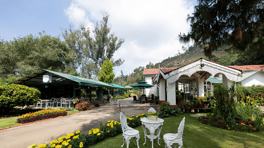 a beautiful picture of the property