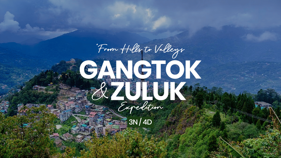 from hill to valley.jpg