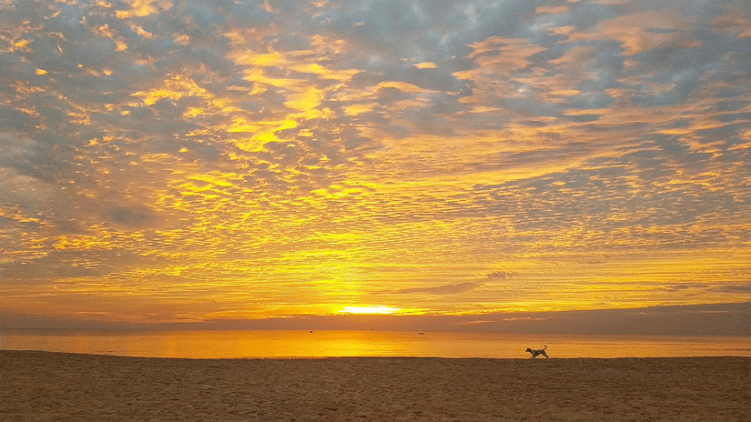 view of a beach during sunset