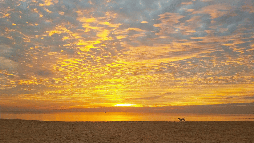 A view of Benailim Beach, one of the best beaches in South Goa, with the sun's ray's hitting the clouds and making a golden hue in the sky during sunset with the Arabian Sea below it.