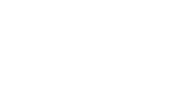 Vivaana Hertiage Hotels (1)
