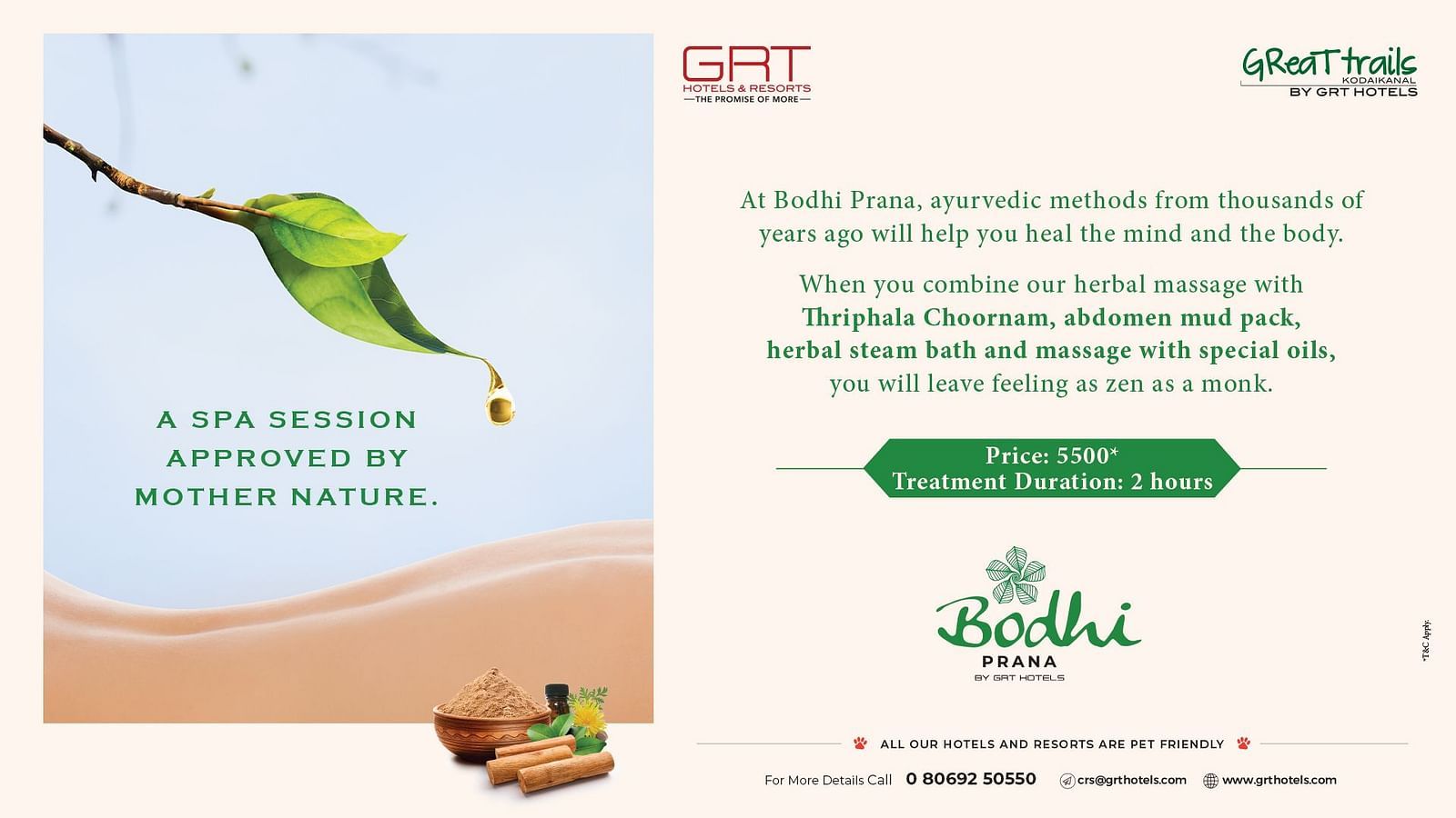 Bodhi Prana spa poster with herbal elements, green leaf, and ayurvedic treatment details .