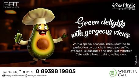 A creative banner (desktop) for the avocado special menu at Whistler Cafe - GReaT Trails Kodaikanal