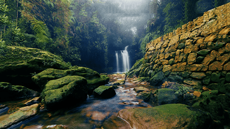 Waterfalls cascading through the lush green hills of Cherrapunjee, showcasing the natural beauty of Meghalaya at Polo Cherrapunjee Resort.