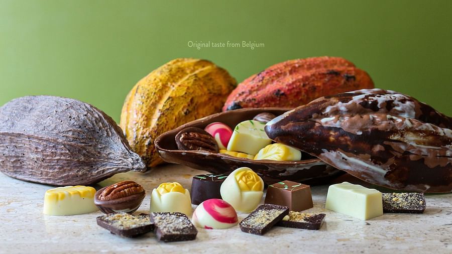 Cacao pods, fruits, and chocolate pieces are arranged on a table | The Shop | Central Mansions, Phnom Penh