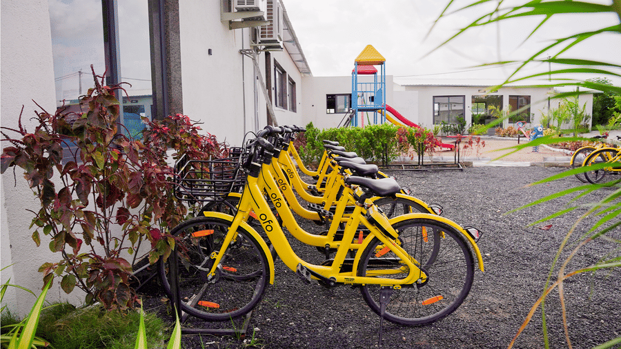 A row of bright yellow rental bicycles is parked neatly outside against a background of plants and a small playground.
