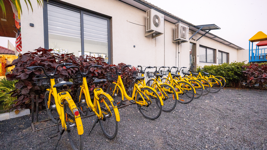 Row of yellow bicycles parked outdoors at Lords SKD Resort, Salangpur.
