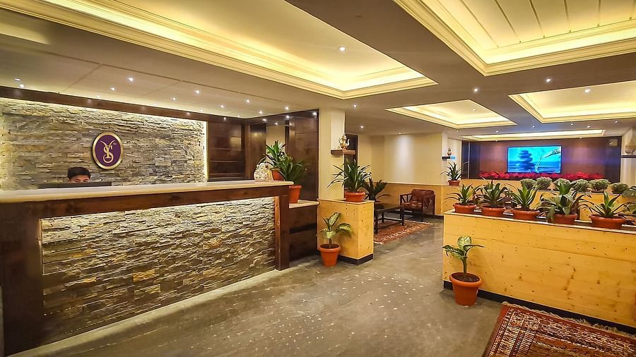 Corner view shot of the reception of Sumitel, Sanderling decorated with several indoor plants.