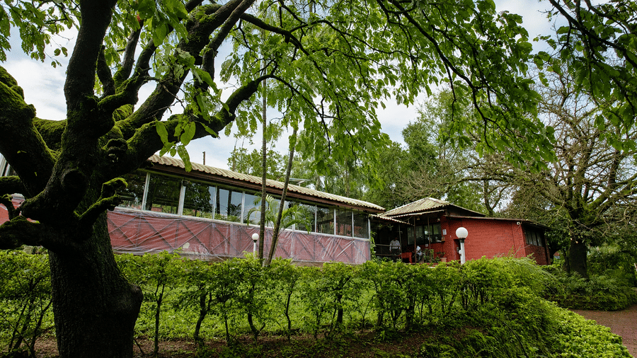 Wind Chalet exterior surrounded by mature trees and landscaped grounds, with a covered walkway extending alongside the chalet.